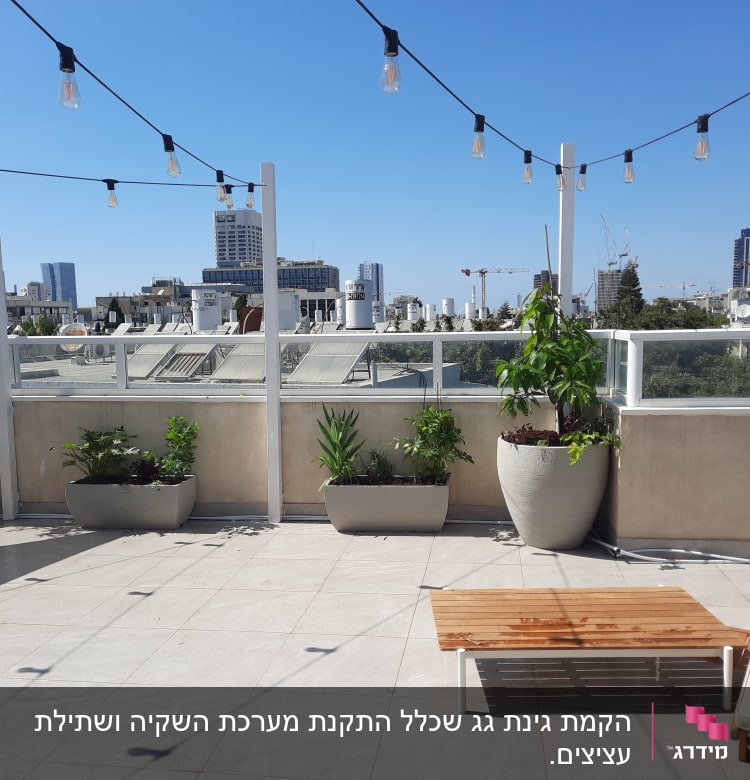 עציצים עם צמחים ירוקים על מרפסת עירונית